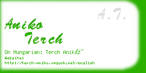 aniko terch business card